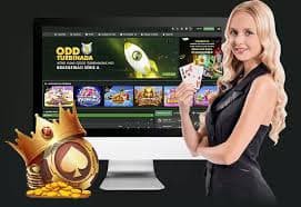 jlbet bet